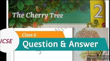 The Cherry Tree by Ruskin bond || Question and Answer || ICSE NCERT CBSE || Class 6 English