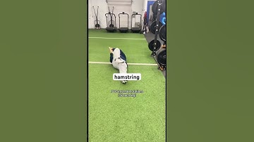 Train like Trea Turner #mlb #baseball #speedtraining