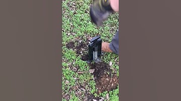 December 31 2021. Review of the Victor M9015 Mole Eliminator.