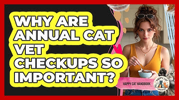 Why Are Annual Cat Vet Checkups So Important? - Happy Cat Handbook