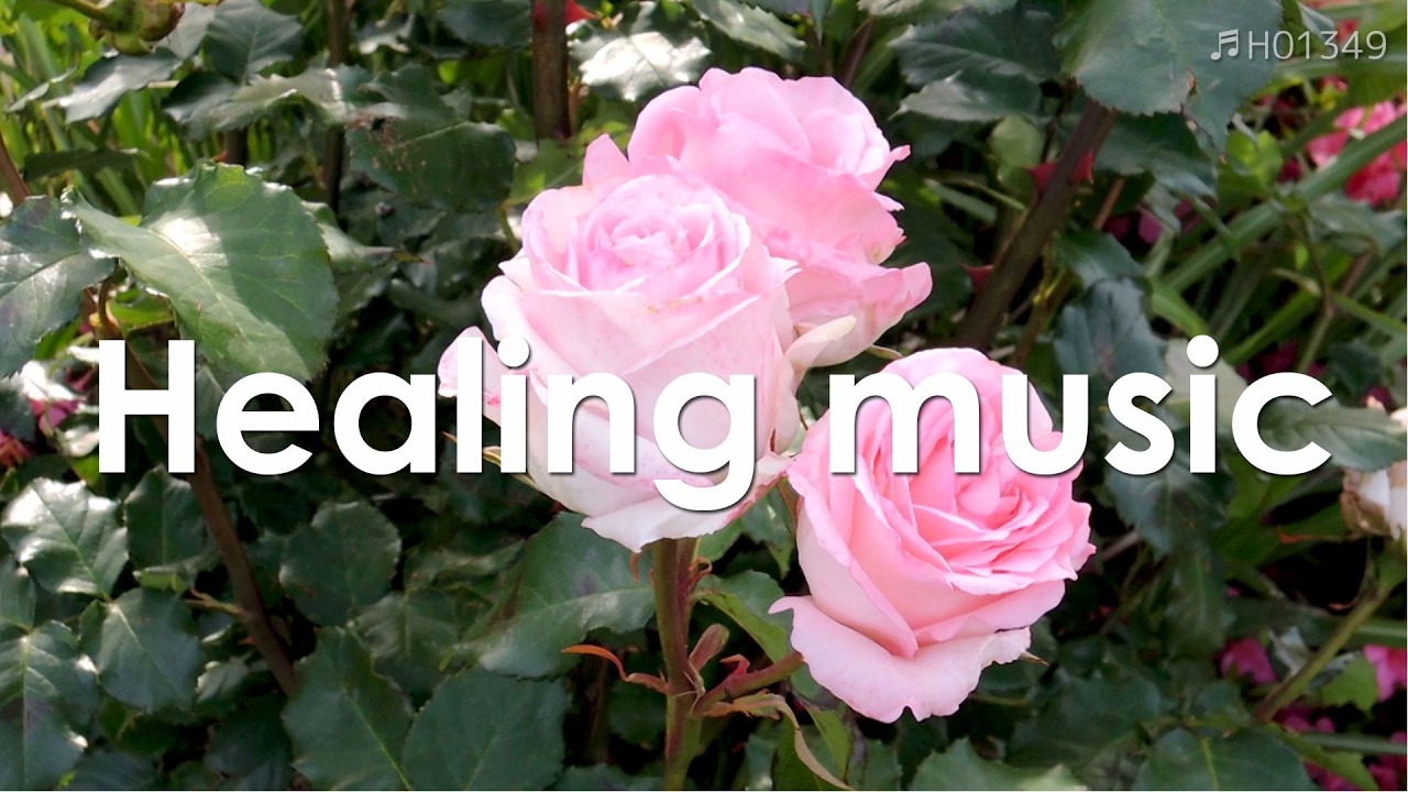 Расслабляющая музыка | Красивые цветы и спокойная мелодия – 5 минут 【 Целебная музыка 】 | ♬H01349