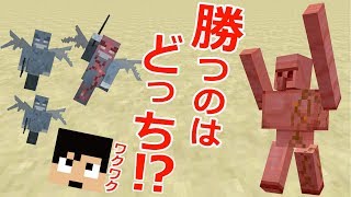 【カズクラ】強いのはどっちよ!?ゴーレムvs幽霊勝つのはどっち!?マイクラ実況 PART926