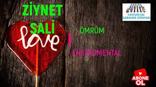 Zi̇ynet Sali̇ Ömrüm Enstrumantal