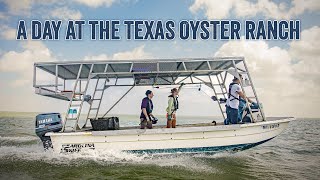 A Day at the Texas Oyster Ranch