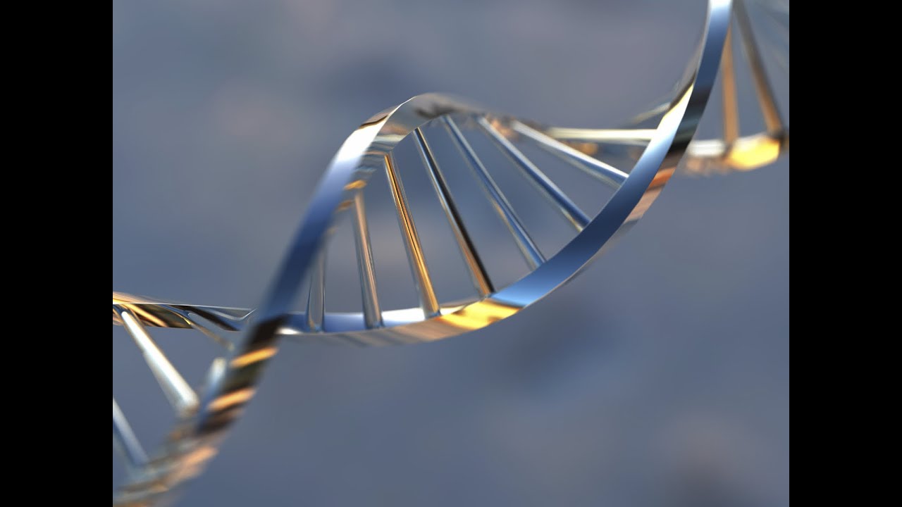 Global Calcium Stearate Market 2015-2019