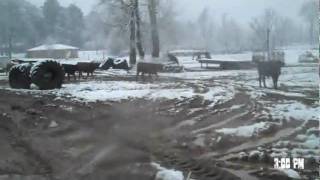 snow.wmv