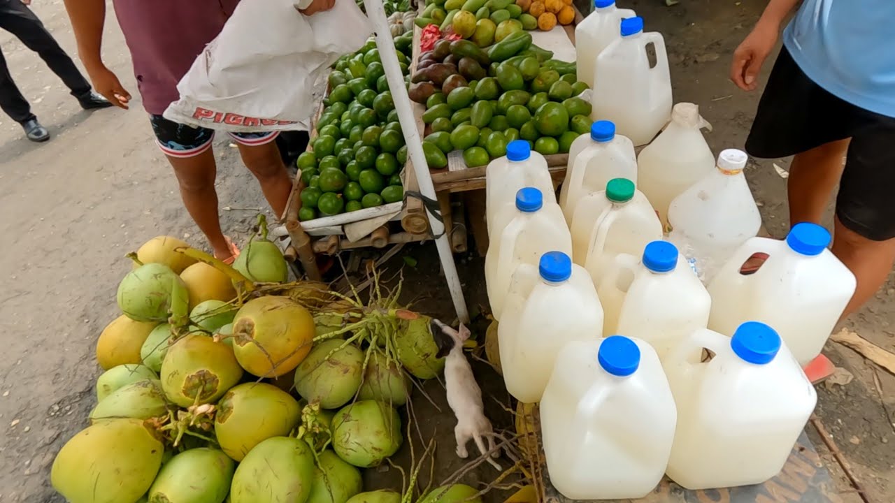 TUBA BAI FOR SALE in Rodriguez Rizal