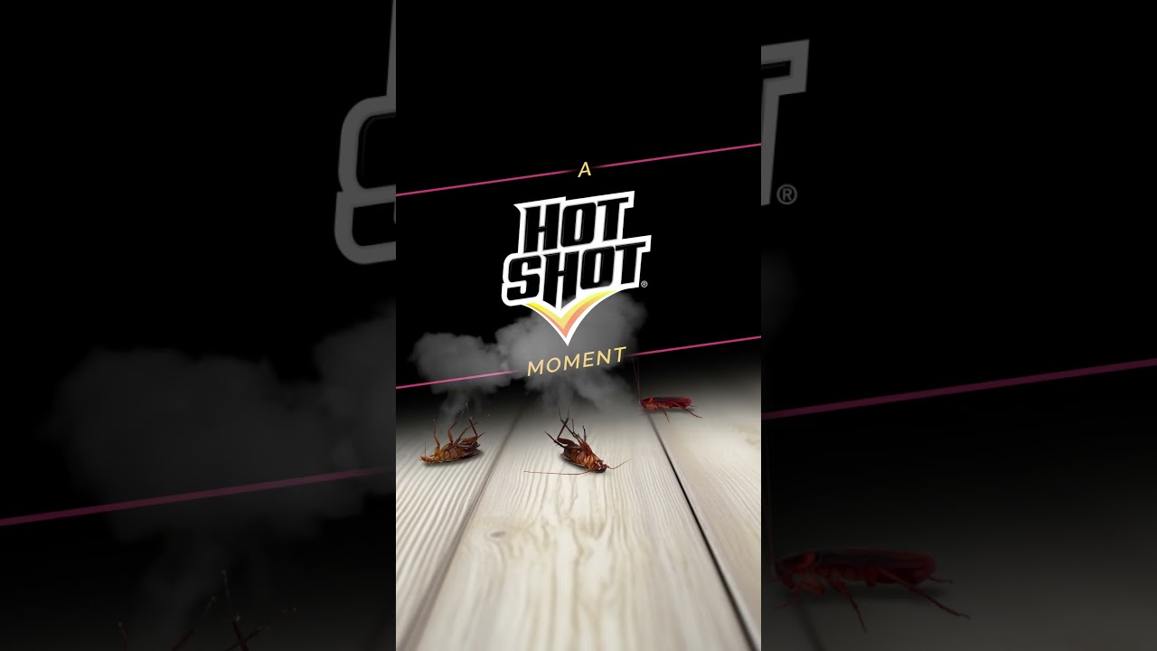 Hot Shot® Ant, Roach & Spider Killer - Multiple Scents