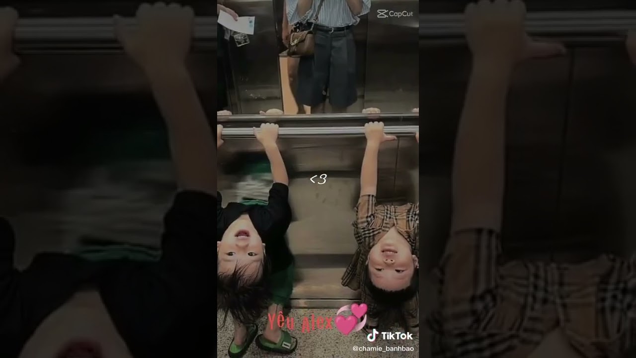 Tik tok bánh bao xin chào|Alex và bao