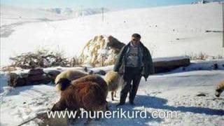 Fırat Günes- Gulê ( Nergîs ) (www.awazaciwan.com ADRES DEGISTI (HUNERIKURD) Resimi