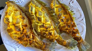 Sanddab Catch &amp; Cook.  Catching Sharks while Halibut Fishing.