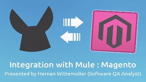Magento Connector Demo | Integration with Mule