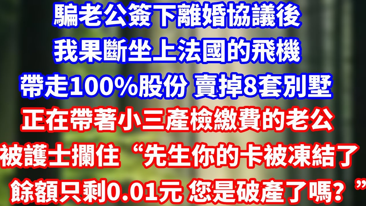 騙老公簽下離婚協議後我果斷坐上法國的飛機，帶走100%股份 賣掉8套別墅，正在帶著小三產檢繳費的老公，被護士攔住“先生你的卡被凍結了餘額只剩0.01元 您是破產了嗎？”#爽文#大女主#总裁