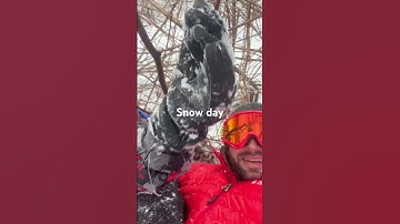 #arborist #bluecollar #mechanic #snow #sledders #sledding #funny #crash #creeksquad #jesus