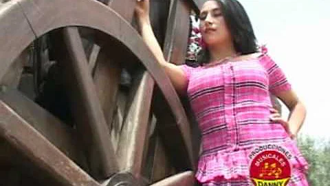 Maritza Rios - Si por cosas de la vida