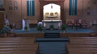Sunday Noon Mass