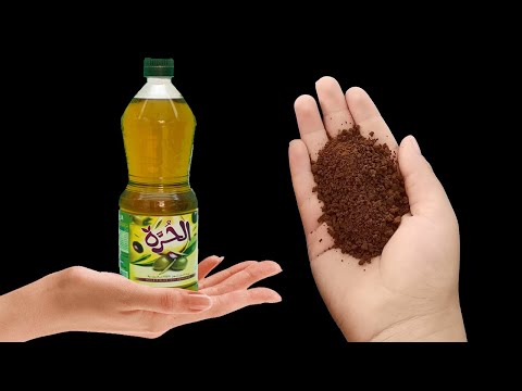 القهوة وزيت الزيتون كنز رباني عظيم من أول إستعمال يزيل سواد البشرة و يجعلها كالزجاج 
