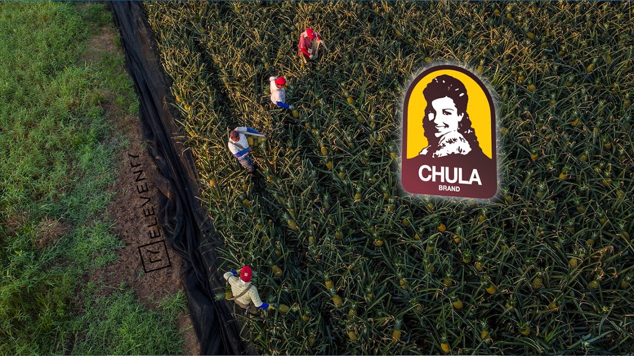 Chula Brand Piña YouTube