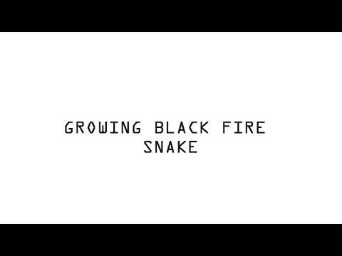 Growing Black Fire Snake Science Experiment