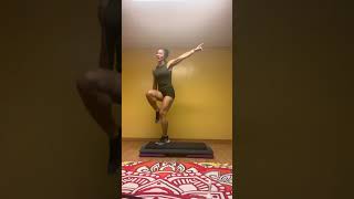 Step Workout Party Train By Redfoo