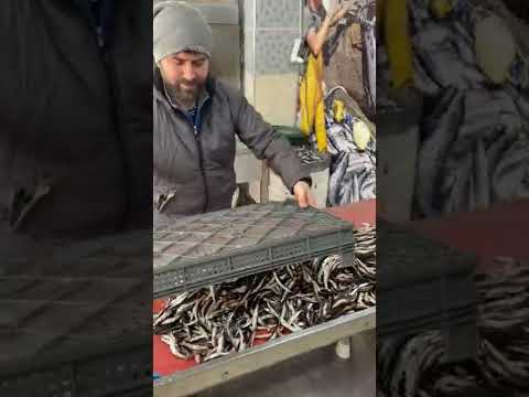 GÜNDE 50 BİN