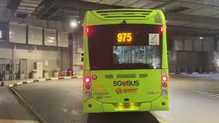 SG3013G 975 [Joyride]