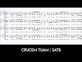 Crucem tuam  satb