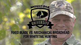 Famous Deer Hunting Broadheads • Fixed Blade vs  Mechanical Broadheads Wealth