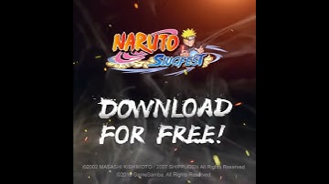Naruto Slugfest Character Flourish