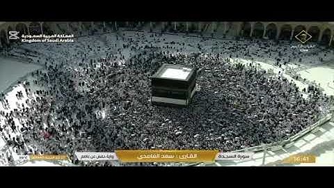سورة السجدة/ بصوت الشيخ سعد الغامدي