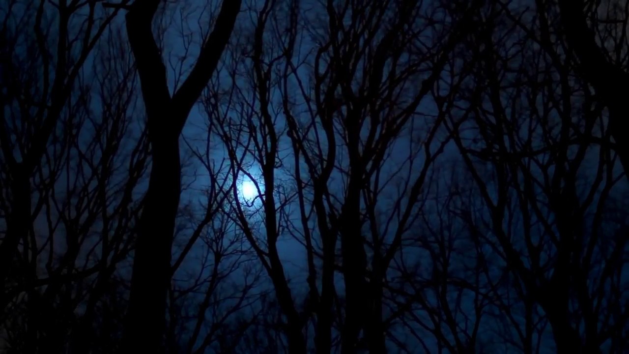 psalm-91-set-to-music-kjv-song-youtube