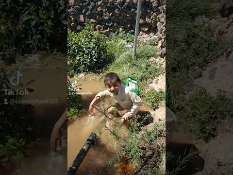 طفل يسقي القات شاهدمذاوجد