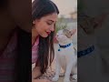 My love ❤️🧿 #shorts #cat #cute #bestfeed