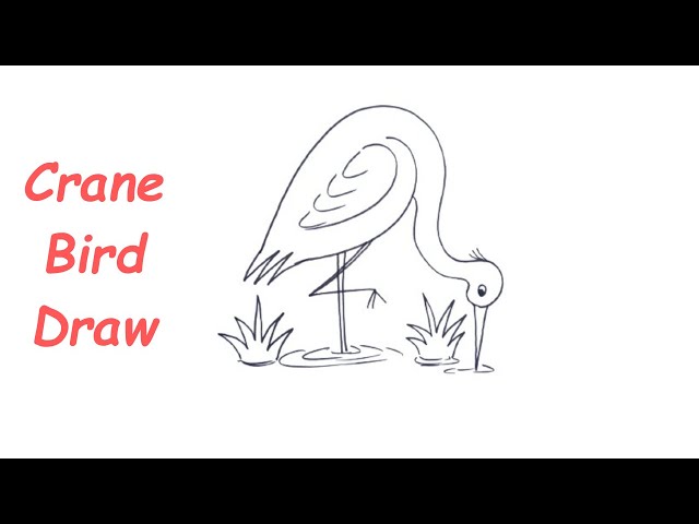 crane bird vector sketch 8686325 Vector Art at Vecteezy