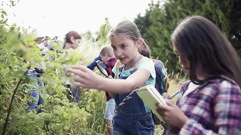 Gradient Flow Snapshot #60: Self-supervised Learning; SaaS CTO Security Checklist; 2021 NLP Survey