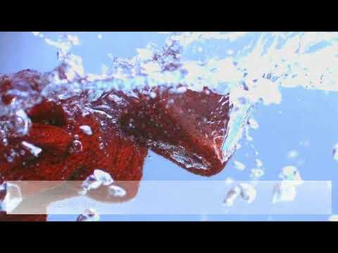 Miele CapDosing - YouTube