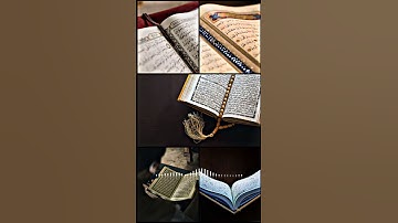 سورة التكاثر بصوت يريح القلوب للشيخ ناصر القطامي