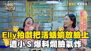 Elly拍戲把活蛞蝓放臉上超敬業！遭小Ｓ爆料「爛臉」氣炸！【#小姐不熙娣】精華