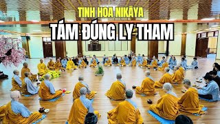 Tinh Hoa NIKAYA - Tám Đúng Ly Tham