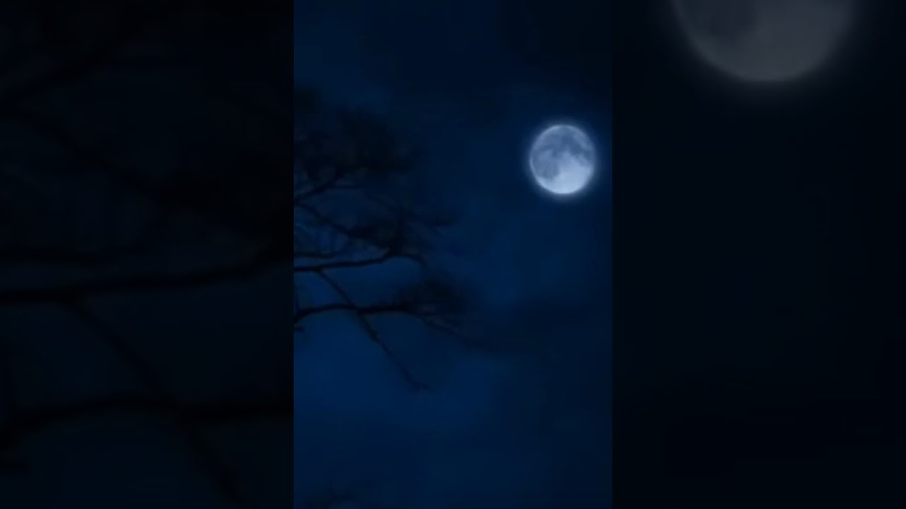 Lunar Tranquility Soothing Wind Sounds Under Full Moon peaceful evoking a sense of calm and serenity