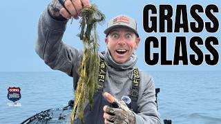 Susky Flats: How to Find a Needle in a Grass Stack