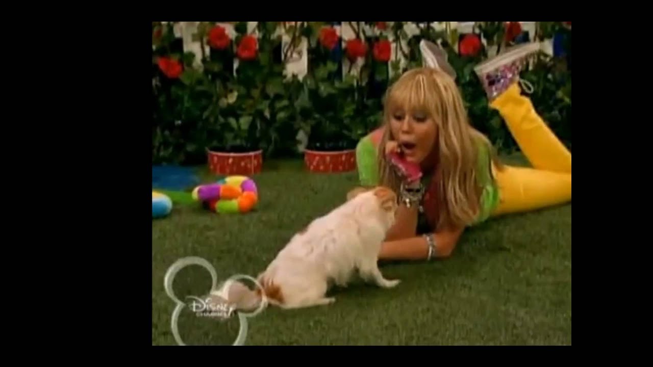 Hannah Montana ice cream freeze YouTube