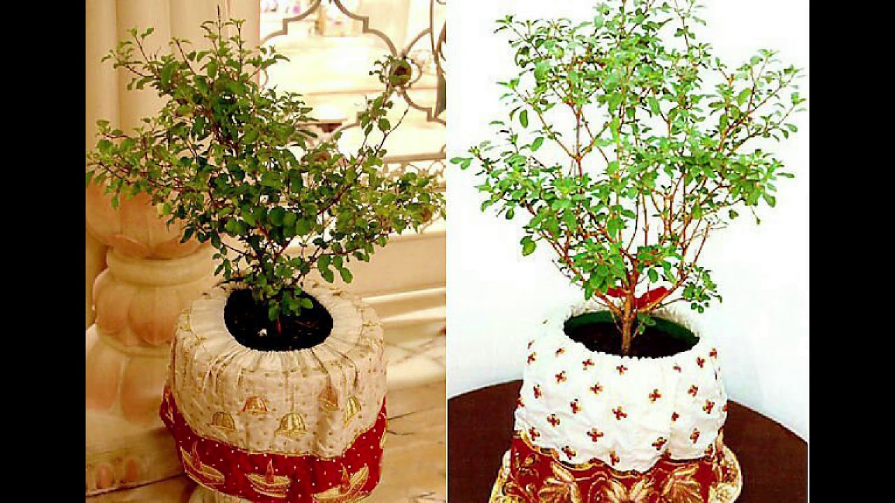 LatestTulasiPotDesignsTulsi pot design tulsi planting ideas Tulsi ...