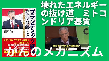 がん研究者、トーマス・セイフリード教授 寄生虫とがん細胞、同じエネルギー代謝ルートを使っていたことがわかった。