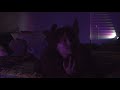 I Love You Maya | Student Film