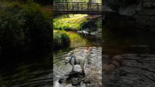 Cooling off in 95 degree heat! š¶š¶