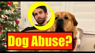 Lawyer on Is Hasan Piker/ Hasanabi Guilty of Animal Abuse of His Dog?