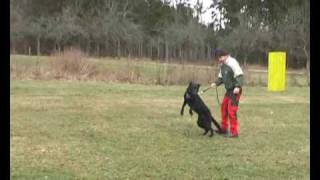 Argo.wmv