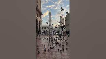 سورة المائدة {الآية 112} بصوت الشيخ عاصم التويجري ❤️❤️