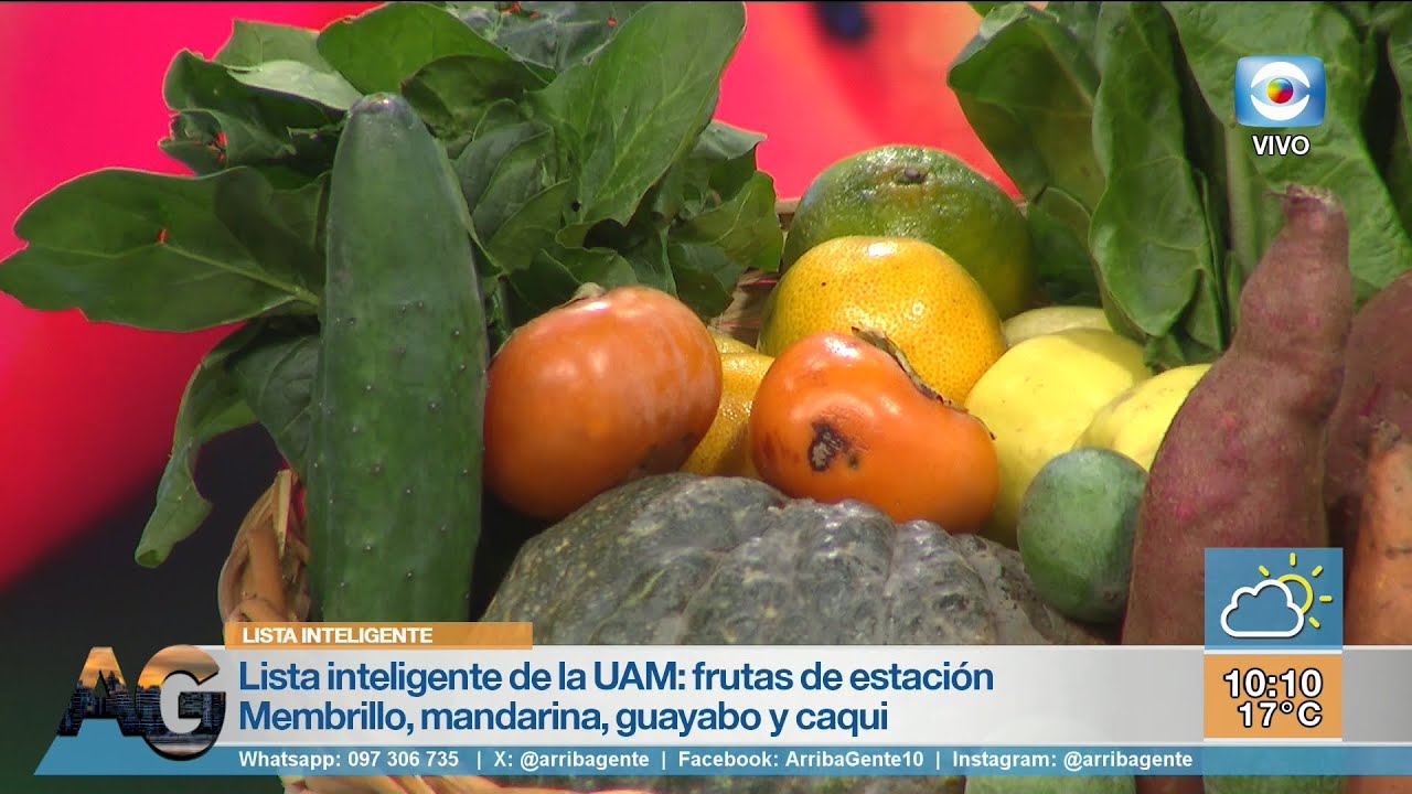 Lista Inteligente de la UAM